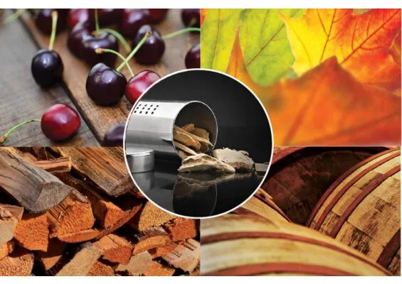 Napoleon | BBQ Smoke Starterkit | met RVS Rookbuis