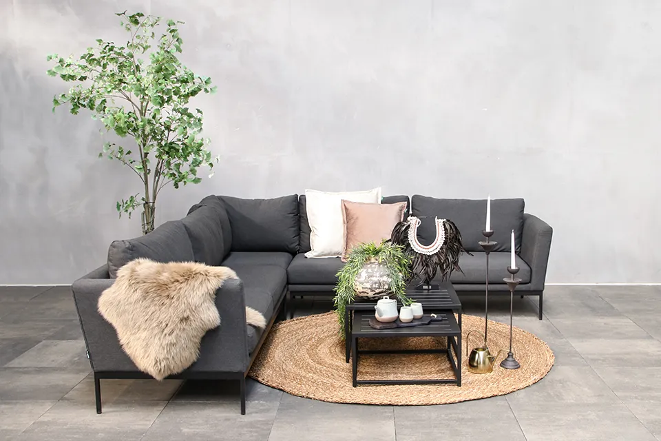 Fonteyn | Hoekbank Sky | Sooty Fonteyn | Hoekbank Sky | Sooty