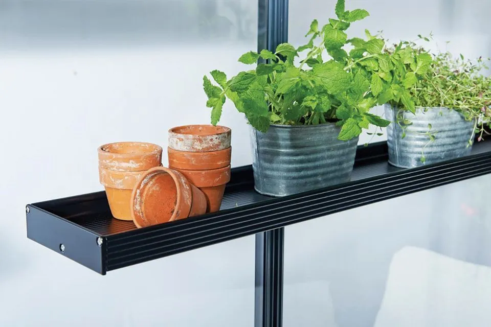 Royal Well | Kweekschap 141 x 14 cm