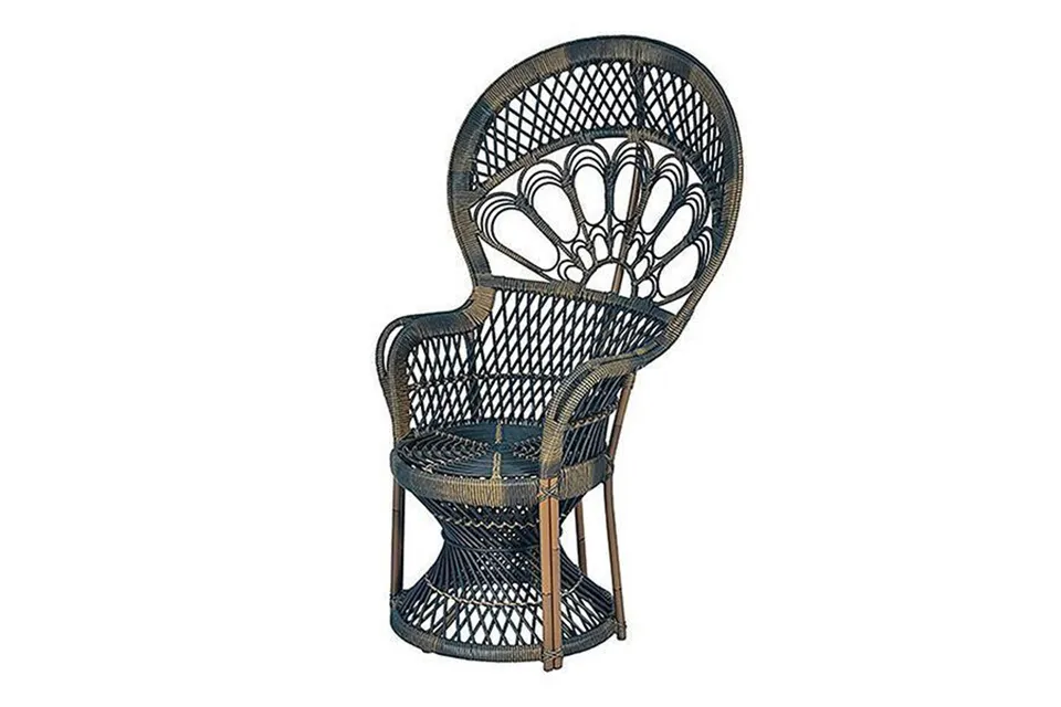 Fonteyn | Loungestoel Peacock | Malaga