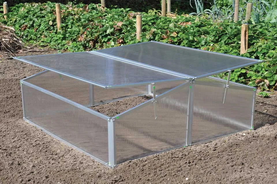 Royal Well | Broeikas Silver Thyme | Polycarbonaat Royal Well | Broeikas Silver Thyme | Polycarbonaat