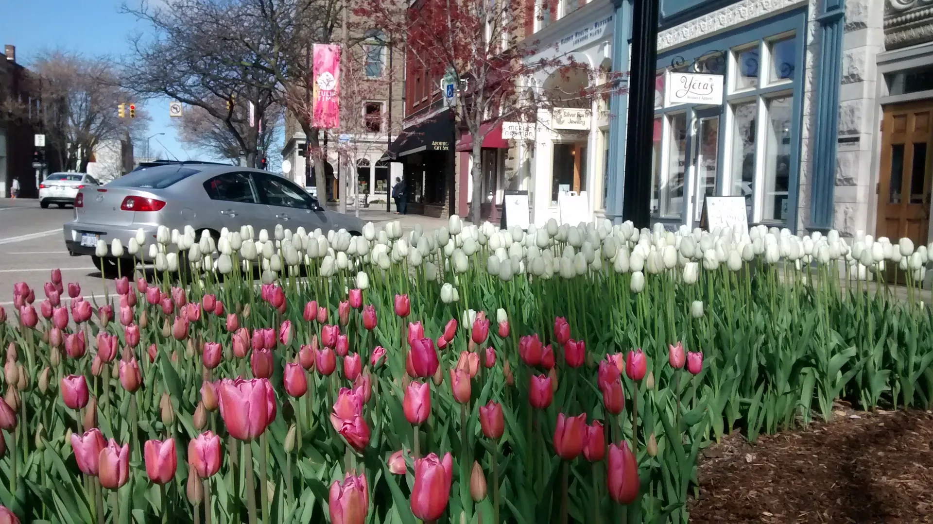 Tulips & Hot Tubs: The Dutch Connection