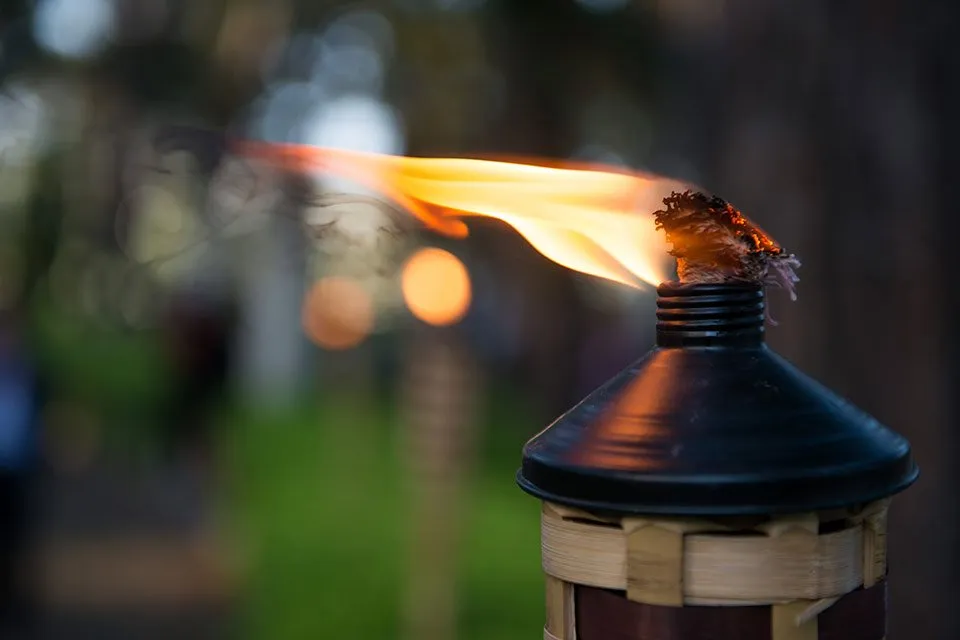 Steelt jouw tuin de show?