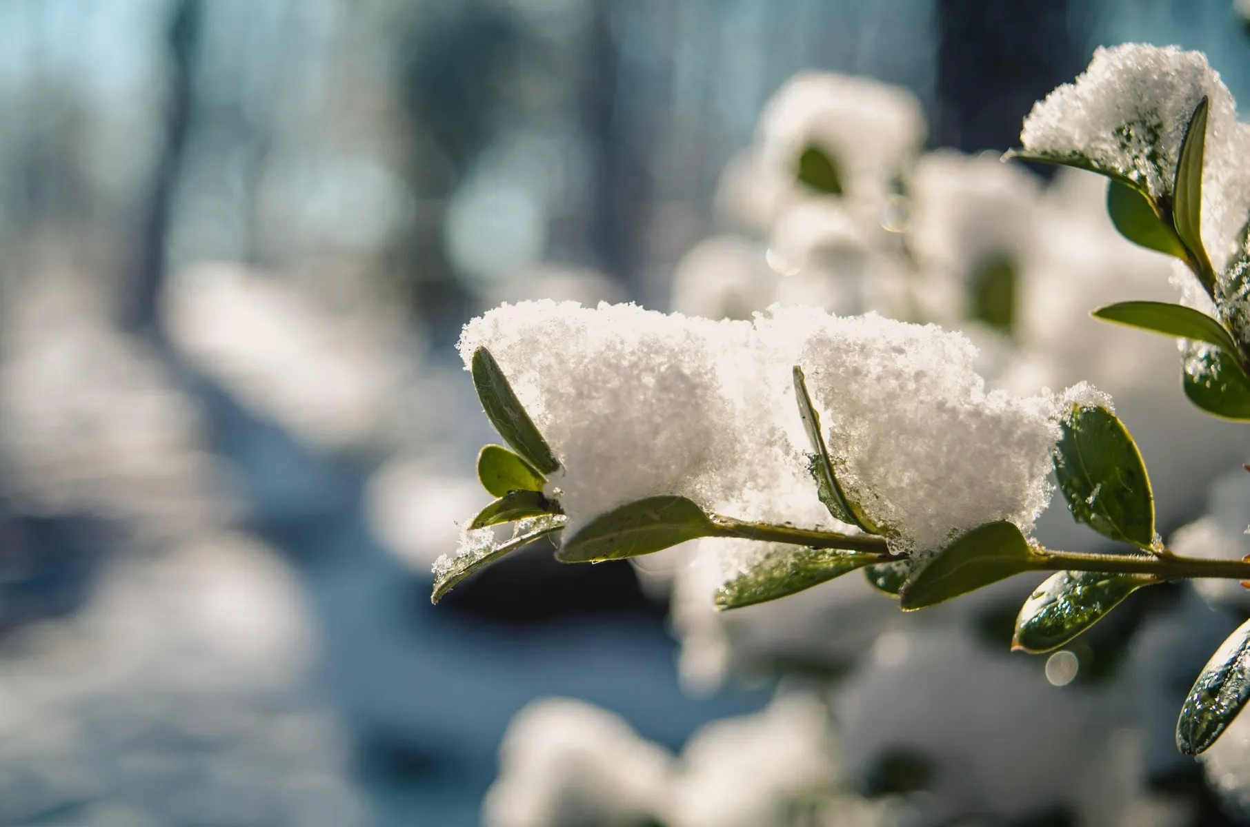 Checklist: is jouw tuin klaar voor de winter?