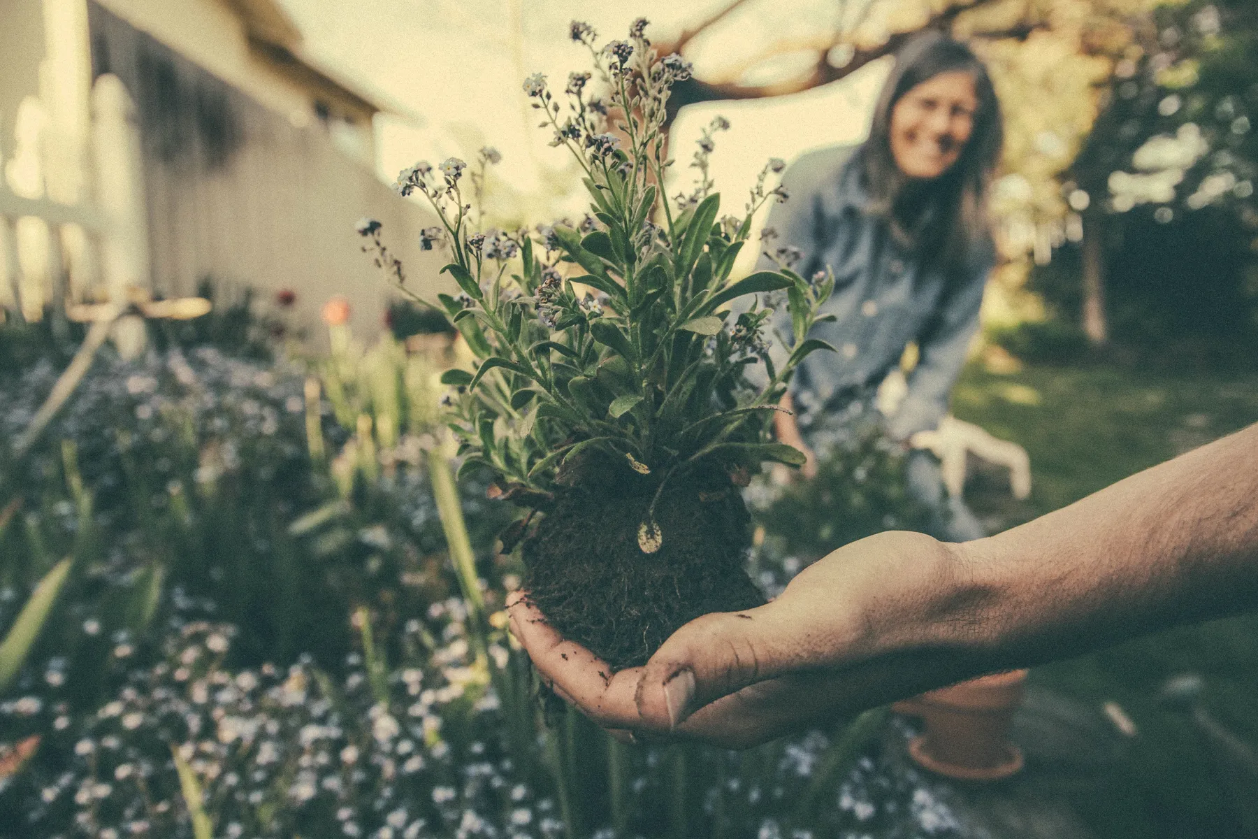 Nieuwe tuin aanleggen: wat komt daar allemaal bij kijken?