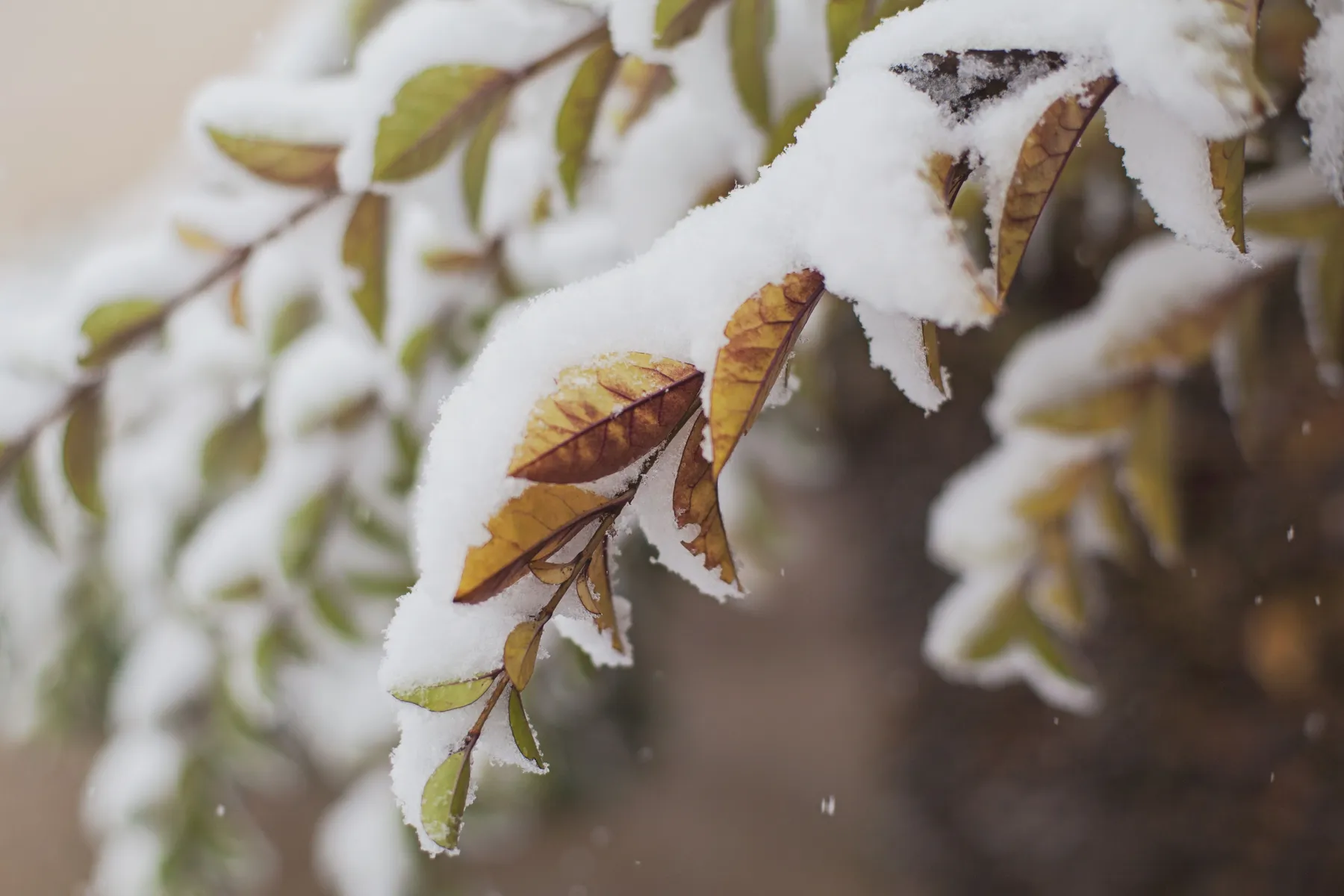 Zo reken je af met de winterblues