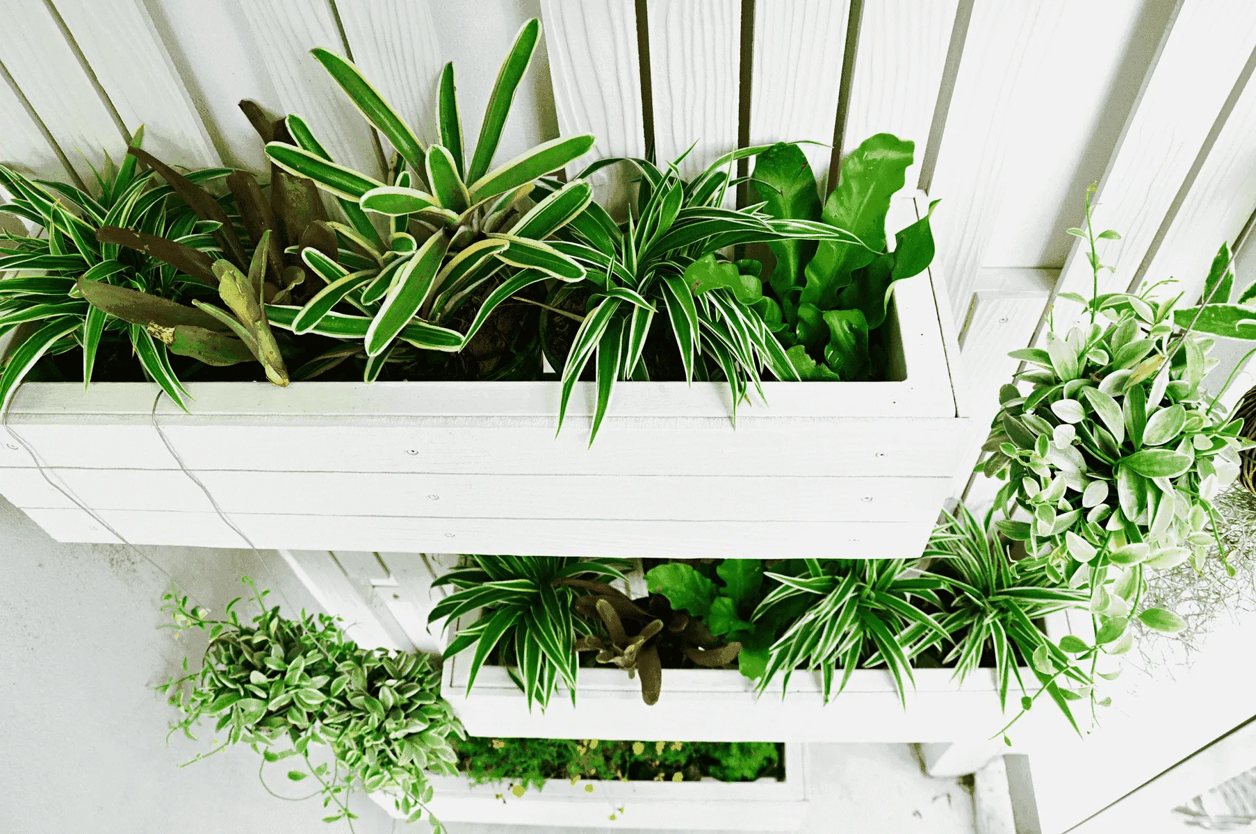 Vertical tuin