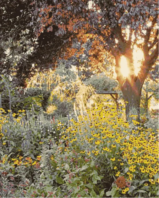 Herfsttuin